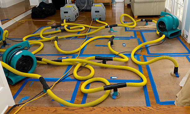 Professional Water Extraction technician working in Jackson Center, PA